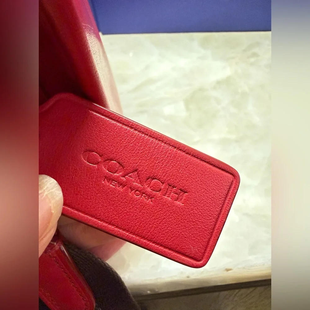 COACH Penny Varsity Patches Crossbody Bag - Picture 5 of 16